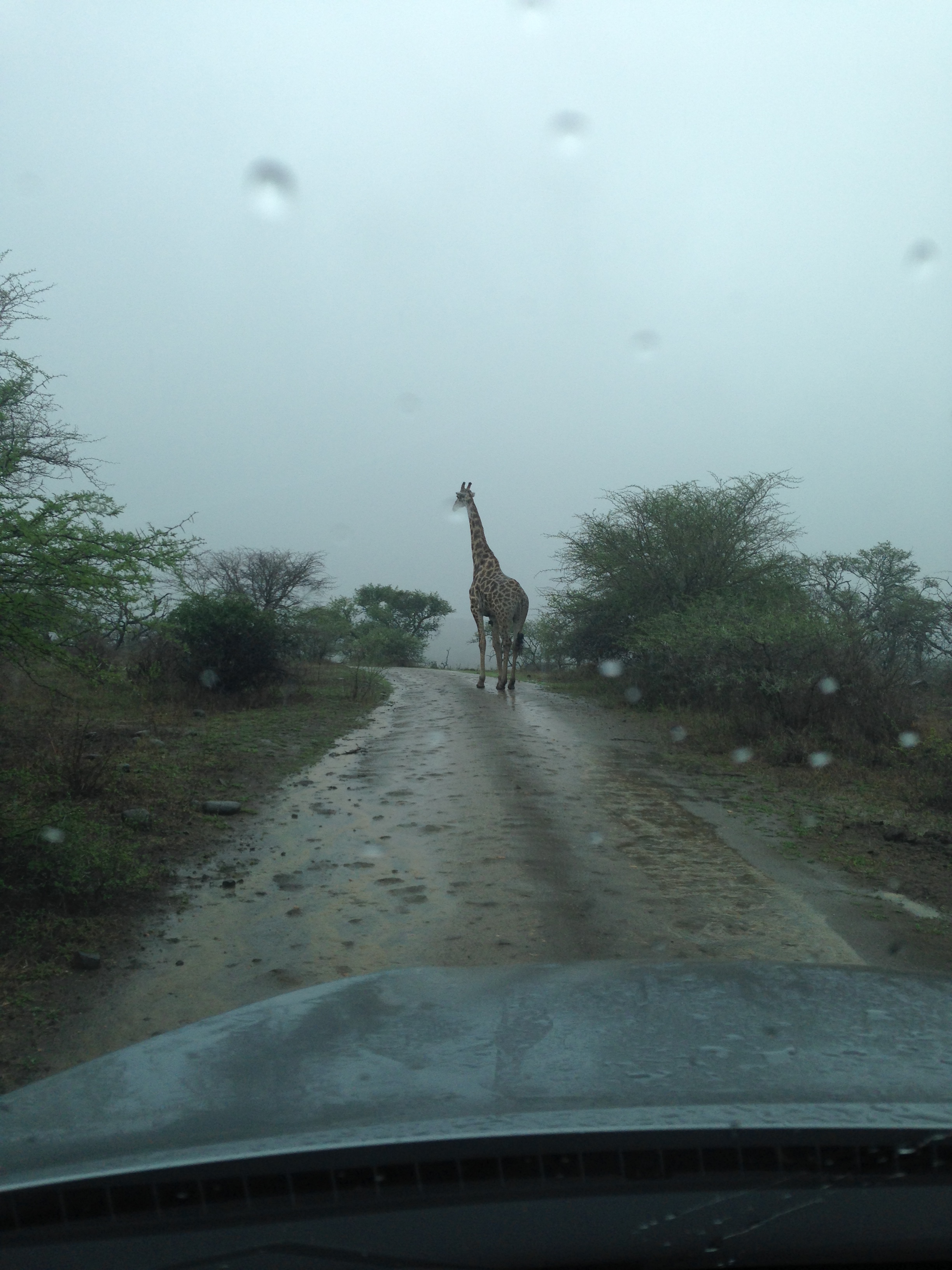 He blocked the road for more than 25 minutes. 